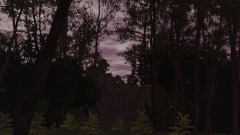 Forest 4