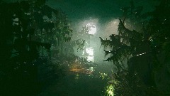 Realistic Swamp Scene