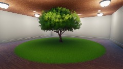 The Tree Room