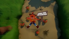 Crash bandicoot into the dreams