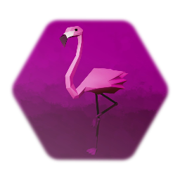 Flamingo