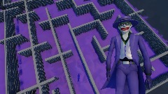 Joker's Maze