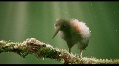 A screenshot taken in Dreams. 15 of 20.