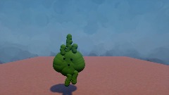 Cactus Hunting for Words