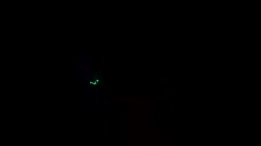 Kamthedestroyas Forest