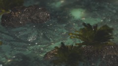 A screenshot taken in Dreams. 6 of 6.