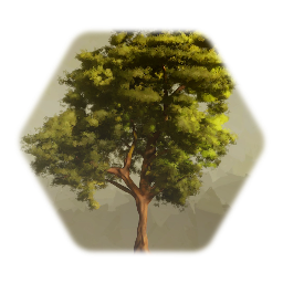 Tree 5