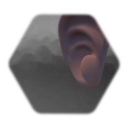 Human Ear