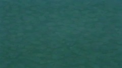 Sonic Adventure Modern Edition Level Select