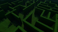 The Maze