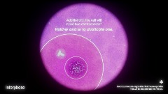 Mitosis & the Cell Cycle WIP