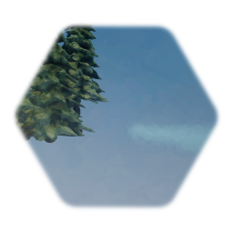 Background Pine Trees