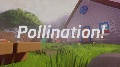 Pollination Creation Kit