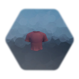 T - Shirt