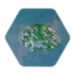 Flowering Shrub White