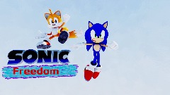 Sonic freedom poster 2