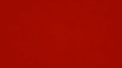 Mario not realesed screen