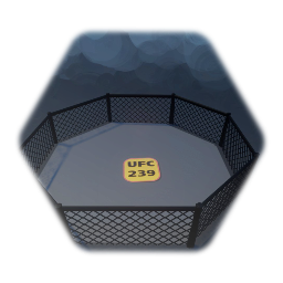 UFC Octagon