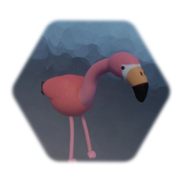 Momo the flamingo