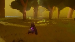 The Forest of Dreams