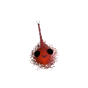 Taimo_12