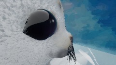 Remix of Seal pup - i'm sorry