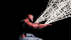 My spider-man showcase