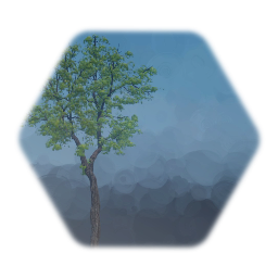 Plains Cottonwood v2