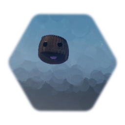 Sackboy's Head