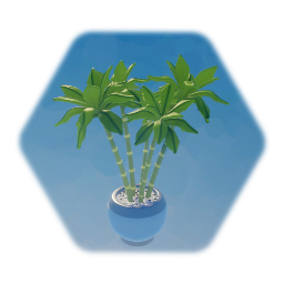 Airport - Indoor Plant