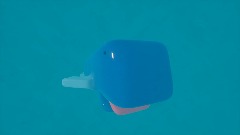 Whale in the Sea