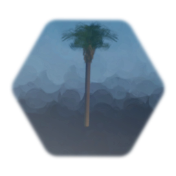 Palm tree