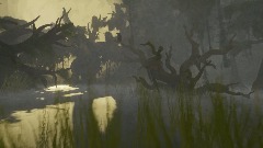 Misty Swamp