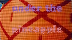UNDER THE PINEAPPLE Theme Song
