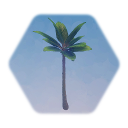 Egypt - Palm Tree