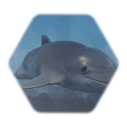 Dolphin