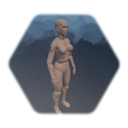 Anatomy female base