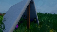 Camping Trip