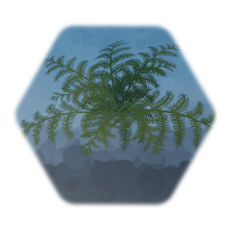 Fern 2