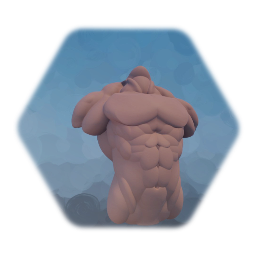 Male Torso