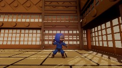 Blue Ninja Tatami