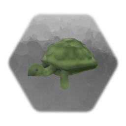 Tortoise